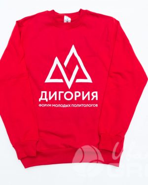 иванычъ group свитшоты